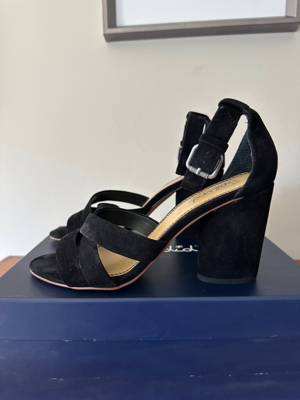 Splendid Black Suede Block Heel Sandals - Women